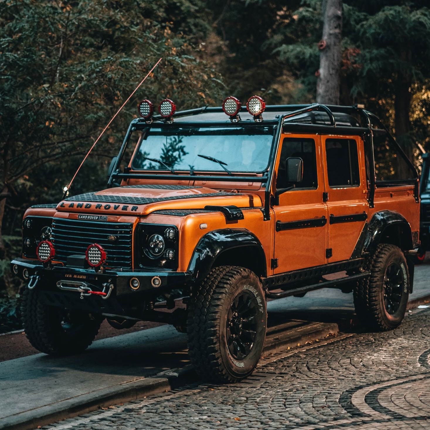 pexels-onbab-9155311-2