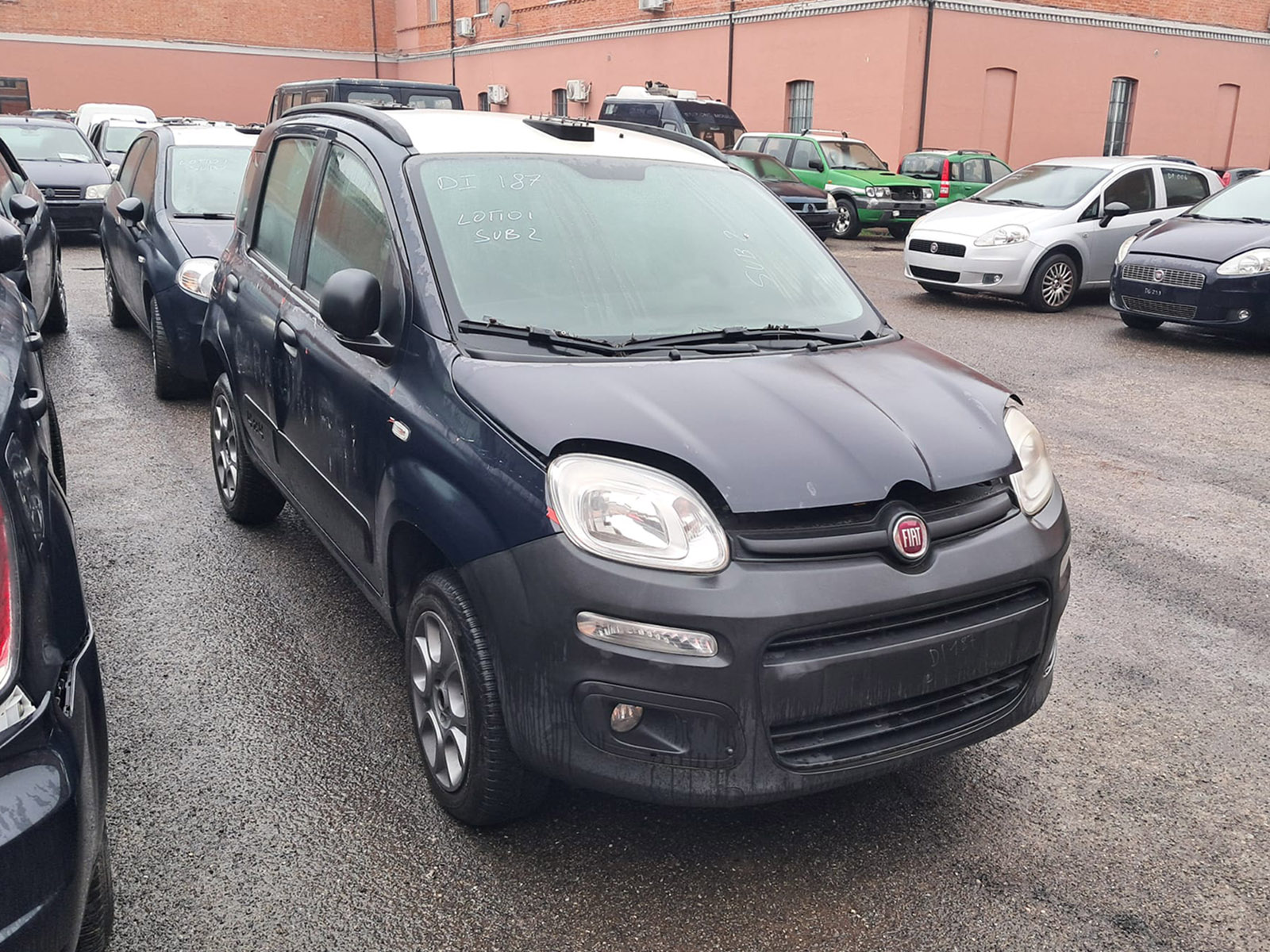 whatsapp-image-2026-02-12-at-130125-3