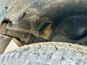 photo-2026-01-22-08-59-19-4